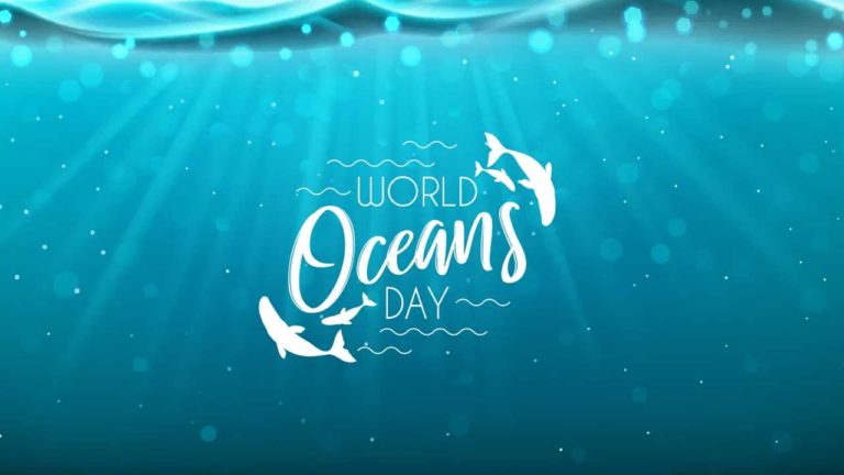 Պլաստիկ աղբ: Օվկիանոսների համաշխարհային օր: